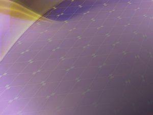 标签体系